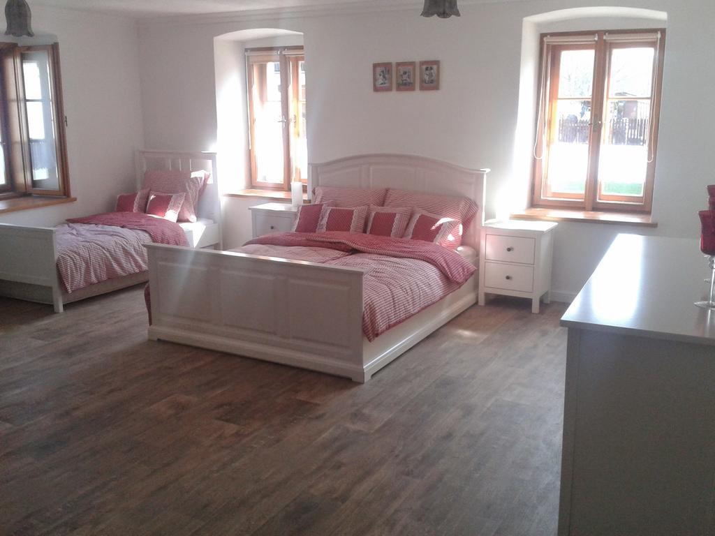 Penzion A Hospoda Na Statku Hluboká nad Vltavou Chambre photo